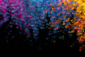 DIARIO DE CLASE #7 – EL&nbsp;CALEIDOSCOPIO